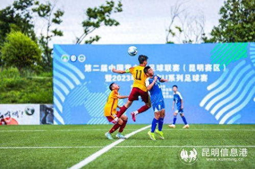 德州武城：大运河畔赛龙舟 多彩民俗庆端午