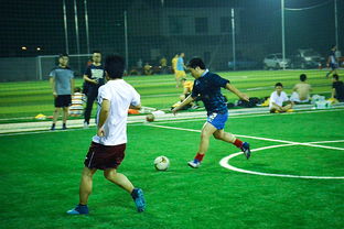 欧冠：连战连捷 阿森纳队3-1拜仁慕尼黑队