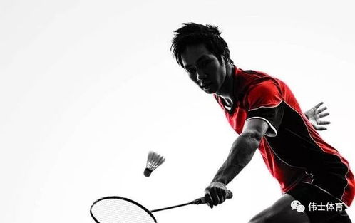 中俄体育嘉年华青少年棒球友谊赛威海开赛