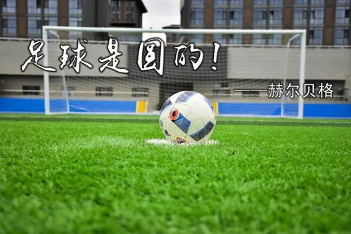 沙特转会传闻