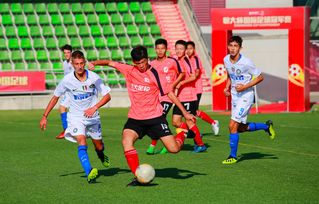 超三德清站：锻炼队伍 山东东阿阿胶队奋勇拼搏每球必争