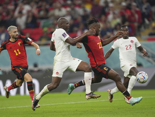 英联杯：顺利晋级 布莱顿队3-2狼队