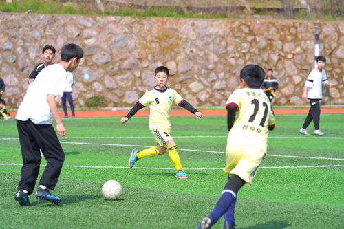 学施洛特贝克图片报：阿德耶米要求在续约合同中加解约条款