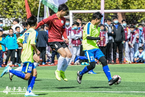 中超：萨里奇世界波 青岛海牛3-2成都蓉城